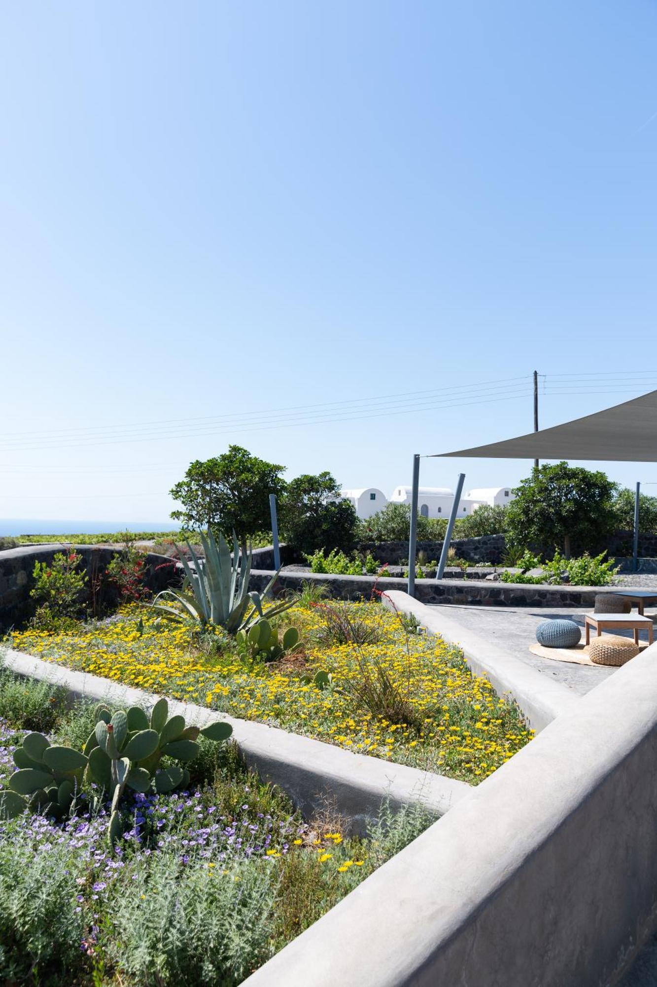 Soil Of Sun Luxury Villas เมกาโลคอรี ภายนอก รูปภาพ